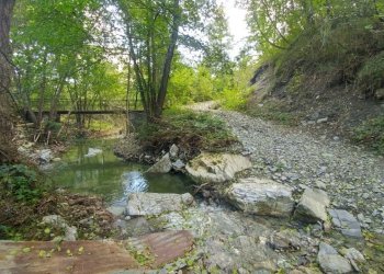 podere Mulino_Zocca (28).jpg - Rustic via Selve 3205, Zocca - photo 13