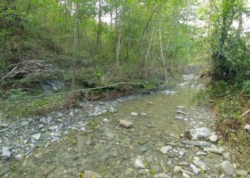 podere Mulino_Zocca (29).jpg - Rustic via Selve 3205, Zocca - photo 14