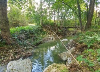 podere Mulino_Zocca (35).jpg - Rustic via Selve 3205, Zocca - photo 15