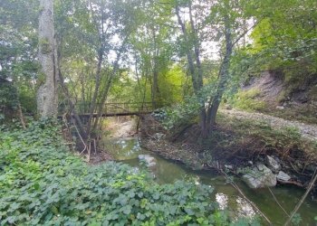 podere Mulino_Zocca (30).jpg - Rustic via Selve 3205, Zocca - photo 16