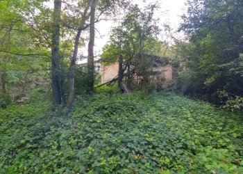 podere Mulino_Zocca (15).jpg - Rustic via Selve 3205, Zocca - photo 18