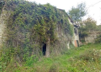 podere Mulino_Zocca (18).jpg - Rustic via Selve 3205, Zocca - photo 20