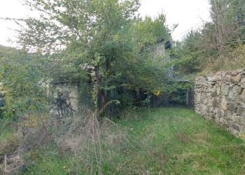 podere Mulino_Zocca (20).jpg - Rustic via Selve 3205, Zocca - photo 22