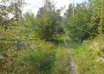 podere Mulino_Zocca (22).jpg - Rustic via Selve 3205, Zocca - photo 23