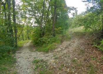 podere Mulino_Zocca (23).jpg - Rustic via Selve 3205, Zocca - photo 24