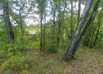 podere Mulino_Zocca (24).jpg - Rustic via Selve 3205, Zocca - photo 25