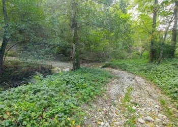 podere Mulino_Zocca (26).jpg - Rustic via Selve 3205, Zocca - photo 27