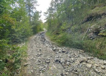 podere Mulino_Zocca (32).jpg - Rustic via Selve 3205, Zocca - photo 28