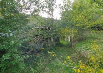 podere Mulino_Zocca (36).jpg - Rustic via Selve 3205, Zocca - photo 29