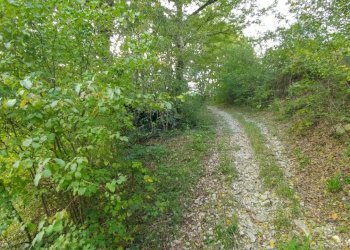 podere Mulino_Zocca (37).jpg - Rustic via Selve 3205, Zocca - photo 30