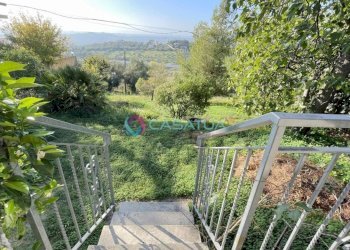 terreno - Villa Silvi - foto 5