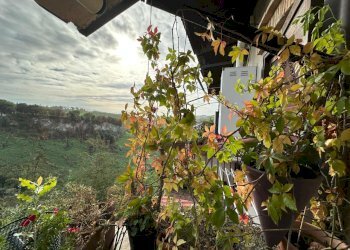 WhatsApp Image 2024-10-11 at 15.27.05 (5).jpeg - Terratetto - Terracielo Piazza Papa Giovanni XXIII 3, Morlupo - foto 6