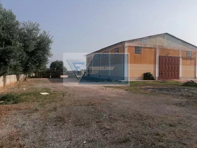 Capannone Via Elorina, Siracusa - foto 3