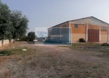 Capannone Via Elorina, Siracusa - foto 3