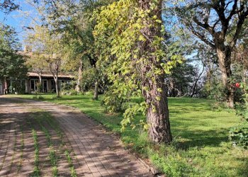 Casa indipendente Bertinoro - foto 2