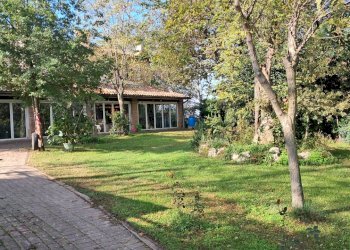 Casa indipendente Bertinoro - foto 3