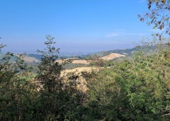 Casa indipendente Bertinoro - foto 8