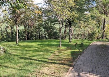 Casa indipendente Bertinoro - foto 12