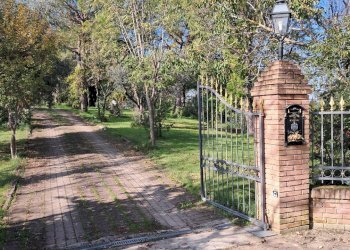 Casa indipendente Bertinoro - foto 15