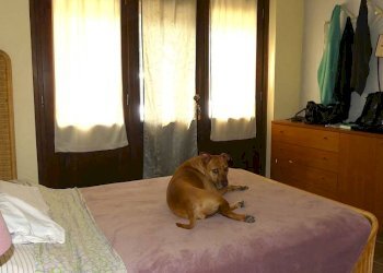 Camera da letto - Appartamento via Andrea Corsini, Pino Torinese - foto 13