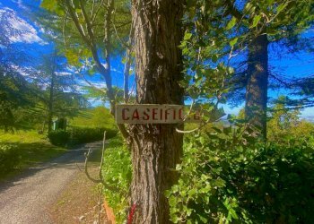 Altro - Rustico strada Comunale Pennola, Brignano-Frascata - foto 38