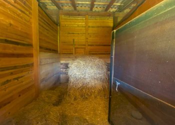 Dettagli - Rustico strada Comunale Pennola, Brignano-Frascata - foto 50