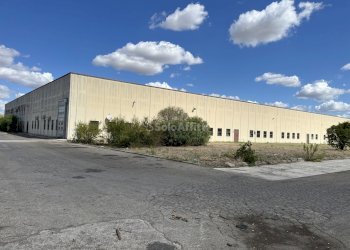 IMG_3460 2.JPG - Capannone ZONA INDUSTRIALE SAN NICOLA, Melfi - foto 1