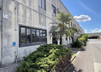 IMG_3482 2.JPG - Capannone ZONA INDUSTRIALE SAN NICOLA, Melfi - foto 4