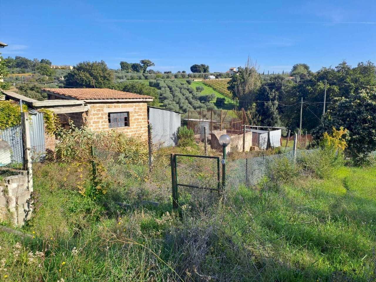 WhatsApp Image 2024-11-12 at 11.20.27.jpeg - Terreno edificabile Via Rimembranze, Amelia - foto 3