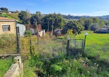 WhatsApp Image 2024-11-12 at 11.20.27 (1).jpeg - Building land Via Rimembranze, Amelia - photo 2
