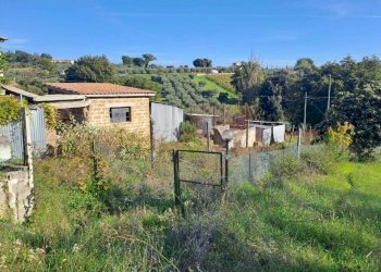 WhatsApp Image 2024-11-12 at 11.20.27.jpeg - Building land Via Rimembranze, Amelia - photo 3