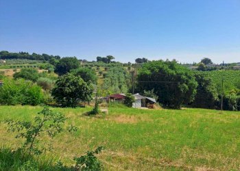 WhatsApp Image 2026-07-01 at 11.27.25 (4) - Building land Via Rimembranze, Amelia - photo 11