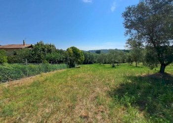 WhatsApp Image 2026-07-01 at 11.27.25 - Building land Via Rimembranze, Amelia - photo 13