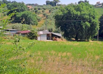 WhatsApp Image 2026-07-01 at 11.27.26 - Building land Via Rimembranze, Amelia - photo 15