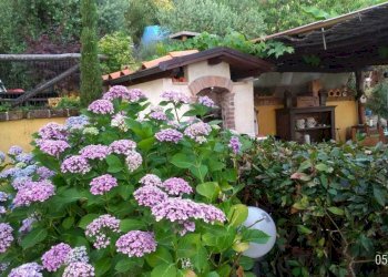 PHOTO-2023-03-12-19-43-02 7.jpg - Porzione di casa Pietrasanta - foto 3