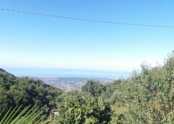 PHOTO-2023-03-12-19-43-02 6.jpg - Porzione di casa Pietrasanta - foto 4