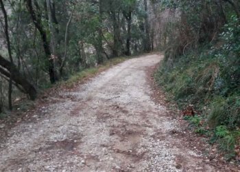 PHOTO-2023-03-12-19-43-01 6.jpg - Porzione di casa Pietrasanta - foto 10