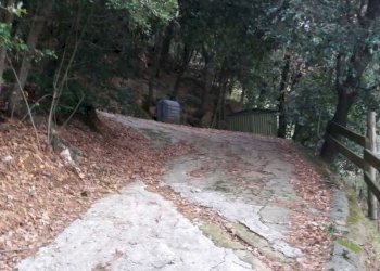 PHOTO-2023-03-12-19-43-01 2.jpg - Porzione di casa Pietrasanta - foto 14