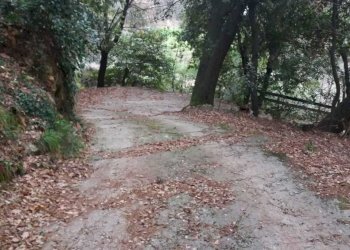 PHOTO-2023-03-12-19-42-58 6.jpg - Porzione di casa Pietrasanta - foto 30