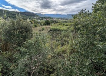 Agricultural land Strada Comunale Breccione, Isernia - photo 2