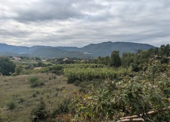 Agricultural land Strada Comunale Breccione, Isernia - photo 3