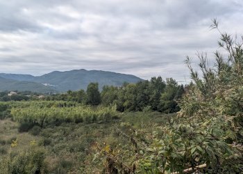 Agricultural land Strada Comunale Breccione, Isernia - photo 4