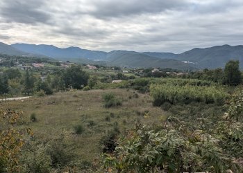 Agricultural land Strada Comunale Breccione, Isernia - photo 5