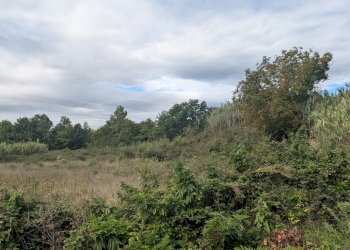Agricultural land Strada Comunale Breccione, Isernia - photo 6