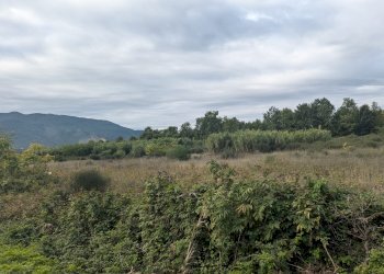 Agricultural land Strada Comunale Breccione, Isernia - photo 7