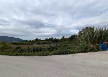 Agricultural land Strada Comunale Breccione, Isernia - photo 8