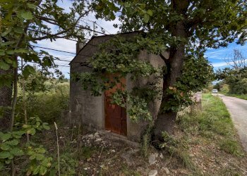Agricultural land Isernia - photo 4