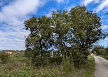 Agricultural land Isernia - photo 6
