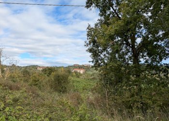 Agricultural land Isernia - photo 7