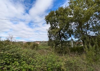 Agricultural land Isernia - photo 8
